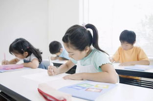 碧桂園·南大街 居于此，學(xué)府林立，人文氣韻涵養(yǎng)未來(lái)——從學(xué)前教育啟航